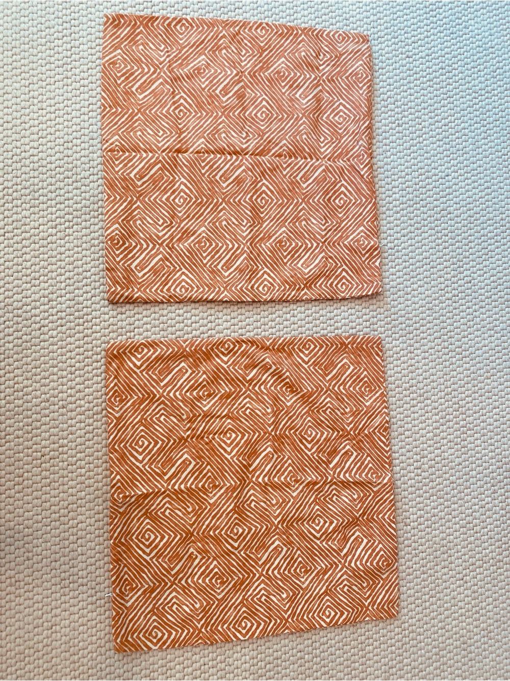 Set of 2 Custom Made by Interior Designer 22 x 22 Pillow Case Covers